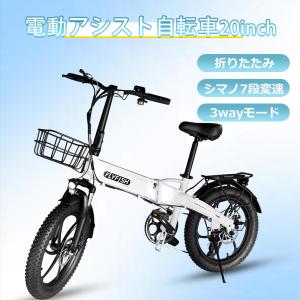 美品　CITROEN 電動アシスト　 シトロエン　20インチ　電動アシスト折畳自転車 シトロエン〉 20インチ折りたたみ電動アシスト自転車 | 高島屋の次世代