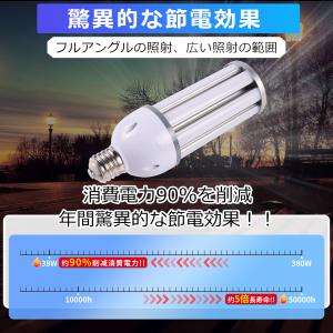 LED水銀灯 消費電力38W 超高輝度7600...の詳細画像2