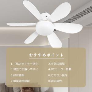 シーリングファンライト LED照明と扇風機が一...の詳細画像2