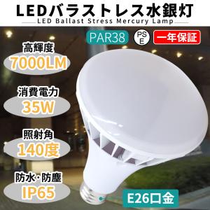 Panasonic（パナソニック） JP100V1500WB/G スタジオ用ハロゲン電球