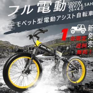 ECO - 新発売26インチ電動アシスト自転車（電動アシスト自転車 