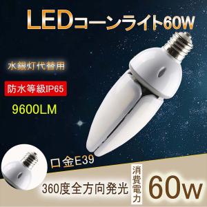 遠藤照明 ENDO LEDZ LAMP LED電球 シャンデリア電球形 クリア 電球