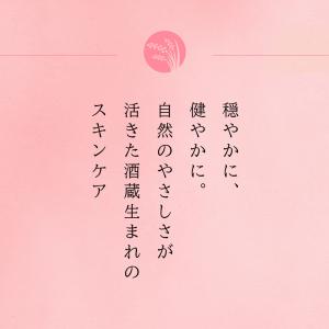 うるおい洗顔クリーム 100g 日本盛 米ぬか...の詳細画像2