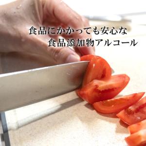 新発売 日本盛 アルコール EA-75M 5L...の詳細画像2