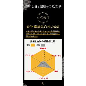 甘酒 無添加 玄米 あまざけ 濃縮タイプ 3個...の詳細画像3