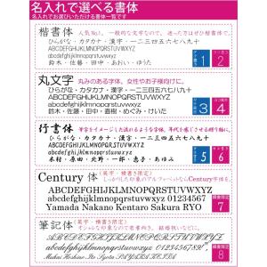 扇子 修善寺桜 薄紅 名入れ 桐箱入 ギフト/...の詳細画像5