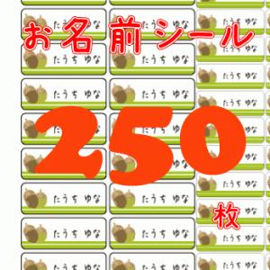お名前シール どんぐり 250枚 A4サイズ カ...の商品画像