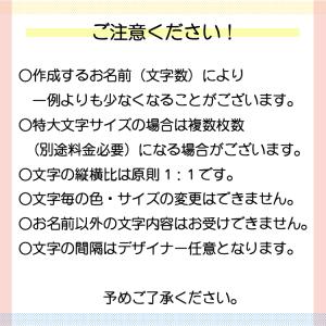 文字サイズ指定可能 フロッキーネームの詳細画像5