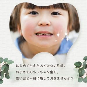 名入れ無料 乳歯ケースポケット1 コンパクトサ...の詳細画像2