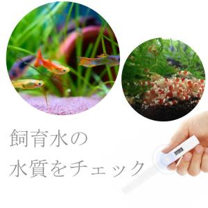 TDS水質検査器 シャオミー TDSメーター ...の詳細画像2