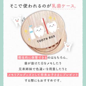 楕円型乳歯ケースlight デザイン追加 日本...の詳細画像1