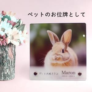 ペット メモリアルグッズ 位牌 アクリルプレー...の詳細画像2