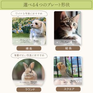 ペット メモリアルグッズ 位牌 アクリルプレー...の詳細画像4