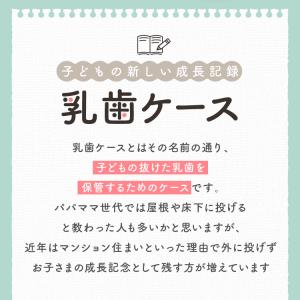 天然桐 乳歯 ケース 日本製 丸型 乳歯ケース...の詳細画像1
