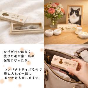 猫のひげケース コンパクト ねこのひげケース ...の詳細画像2