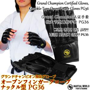 RIZIN公式試合用オープンフィンガーグローブ 【ISAMI・イサミ】総合