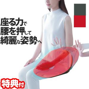 ボードクッション コシオス 骨盤矯正クッション ...の商品画像