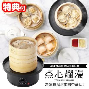 エムケー精工 せいろ 蒸し器 電気 電気せいろ MK精工 TEGARU=SEIRO EM