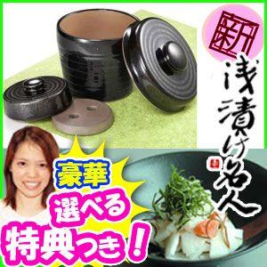 浅漬け名人(茶)(菜漬器)(漬物レシピ本付き) : ナチュラル 浅漬け名人(茶)(菜漬器)(漬物レシピ本付き) : ナチュラル