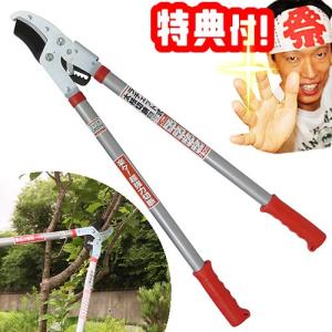 千吉 伸縮式枝挽鋸 3M SGPS−2 園芸道具 園芸鋸 特殊 : ベイシア