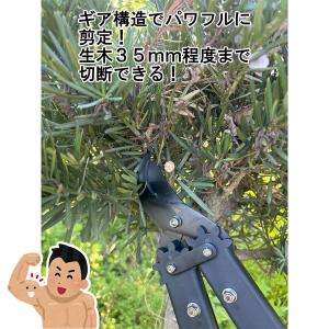 軽い力で35mmを撃破 折りたためるタフな剪定...の詳細画像4