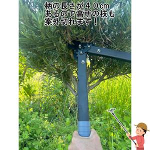 軽い力で35mmを撃破 折りたためるタフな剪定...の詳細画像5