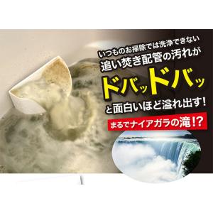 TVで紹介 ナイアガラーン 2回分 風呂釜洗浄...の詳細画像1