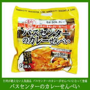 新潟名物 万代バスセンターのカレー5個セット （220g×1袋×5個