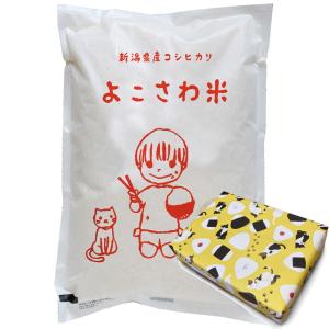 令和7年産 減農薬 コウノトリ育むお米10kg 特別栽培米 コシヒカリ特A