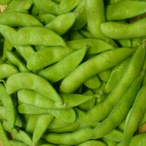 朝穫り当日発送！ オリジナル枝豆「月灯り」(茶豆系) ２kg２,９８０円　代引不可！