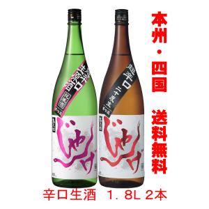想天坊 じゃんげ 赤蛇 超辛口二十度生 1800ml （令和8年出荷分