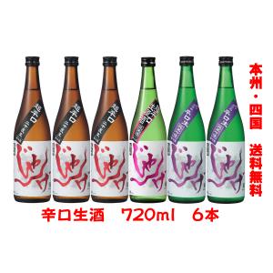 想天坊 じゃんげ 赤蛇 超辛口二十度生 720ml （令和8年出荷分