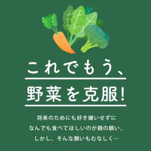 やちゃいチップス 10個セット 離乳食 ベビー...の詳細画像2