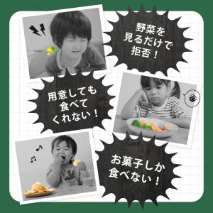 やちゃいチップス 10個セット 離乳食 ベビー...の詳細画像3