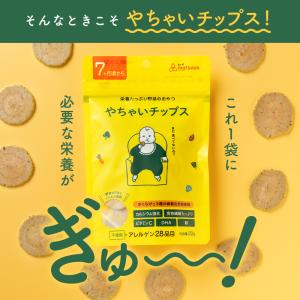 やちゃいチップス 10個セット 離乳食 ベビー...の詳細画像4