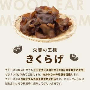 やちゃいチップス 10個セット 離乳食 ベビー...の詳細画像5