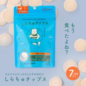 しらちゅチップス 10個セットの買取情報