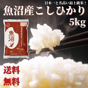 7年魚沼産コシヒカリ 玄米10kg a23506c2c25cde7fb15d7a4d540181