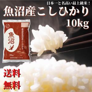 コシヒカリ 【玄米】米 令和7年産 魚沼産 10kg 送料無料 : 新潟農商