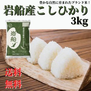 コシヒカリ 米 令和7年産 米 お米 10kg 新潟 岩船産 精米 : 新潟農商