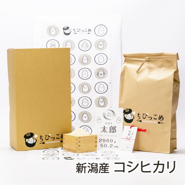 出産内祝い名入れギフト 赤ちゃん体重米「ちびっこめ」（新潟産コシヒカリ）体重5000gまで対応可/名...