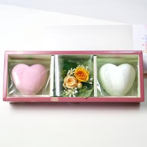 新潟直送計画 プリザーブドフラワー 花 観葉植物 Yahoo ショッピング