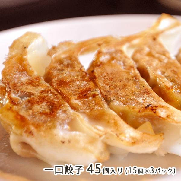 一口餃子 45個入り(15個×3パック)/ら〜めん処 がんこ屋/送料無料