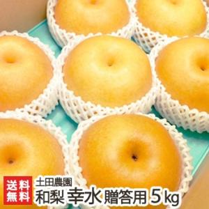 【贈答用】幸水5kg/土田農園/送料無料