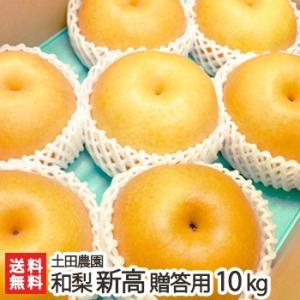 【贈答用】新高10kg/土田農園/送料無料