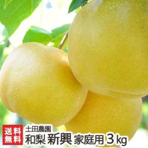 【家庭用】新興3kg/土田農園/送料無料 父の日 お中元