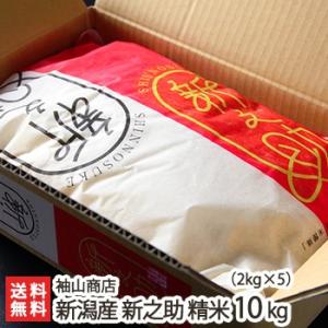 【令和7年度新米】新潟産 新之助（しんのすけ）精米10kg（2kg×5袋）袖山商店/のし無料/送料無...