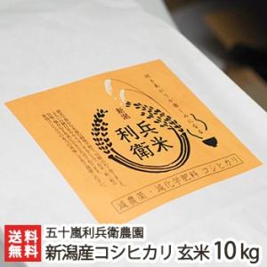 減農薬・減化学肥料 新潟産 炊きあがりが楽しみになるコシヒカリ 玄米10kg/五十嵐利兵衛農園/送料無料 父の日 お中元｜niigata-shop