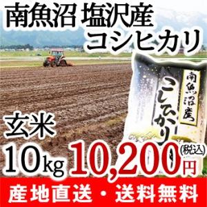 28年度米 南魚沼産コシヒカリ（塩沢産） 玄米10kg コシヒカリたちの/父の日にも！ギフトにも！/のし無料/送料無料｜niigata-shop