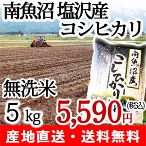 28年度米 南魚沼産コシヒカリ（塩沢産） 無洗米5kg コシヒカリたちの 20年連続「特A」評価/父の日にも！ギフトにも！/のし無料/送料無料｜niigata-shop